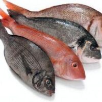 Pescado