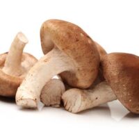 Cogumelo