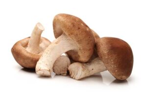 Shitake 200g